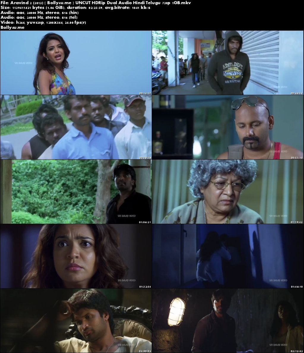 Aravind 2 2013 HDRip 1GB UNCUT Hindi Dual Audio 720p Download Aravind 2 2013 HDRip 1GB UNCUT Hindi Dual Audio 720p Download