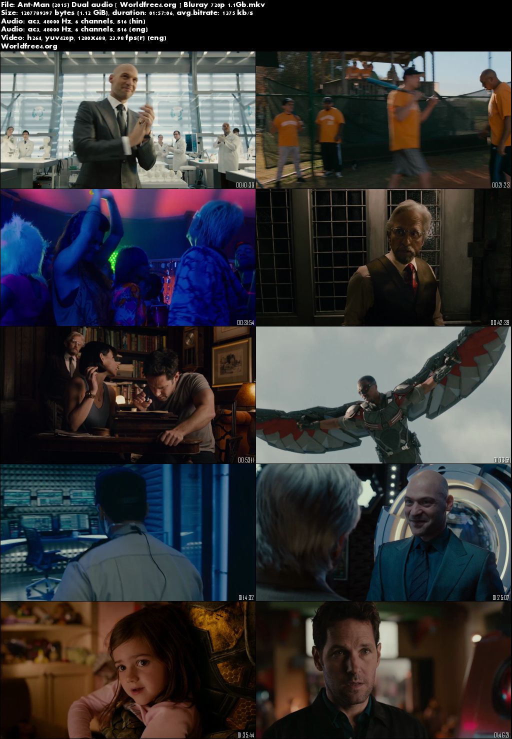 Ant Man 2015 BluRay Dual Audio Download 720p 1.1Gb Download Ant Man 2015 BluRay Dual Audio Download 720p 1.1Gb Download