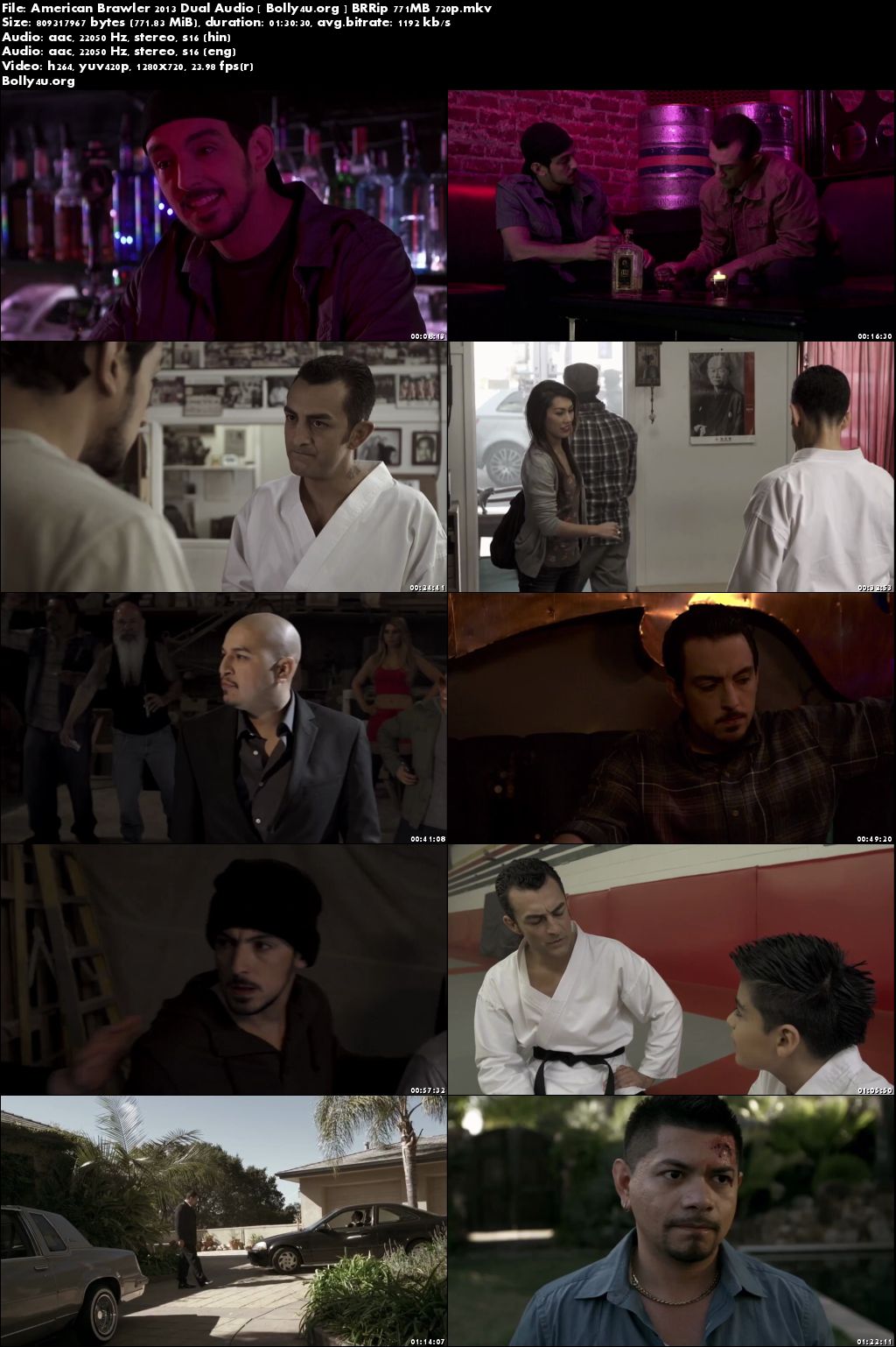 American Brawler 2013 BRRip 750MB Hindi Dual Audio 720p Download American Brawler 2013 BRRip 750MB Hindi Dual Audio 720p Download