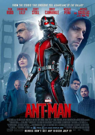 Ant Man 2015 BluRay Dual Audio Download 720p 1.1Gb Watch Online Full Movie Download bolly4u Ant Man 2015 BluRay Dual Audio Download 720p 1.1Gb Watch Online Full Movie Download bolly4u