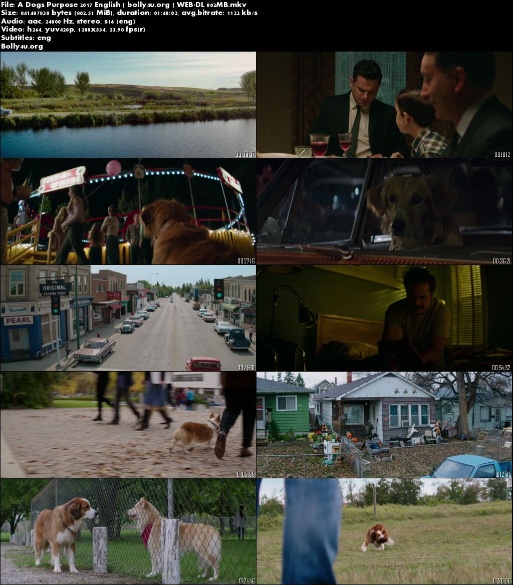 A Dogs Purpose 2017 WEB-DL 480p English Movie 280MB ESubs Download A Dogs Purpose 2017 WEB-DL 480p English Movie 280MB ESubs Download