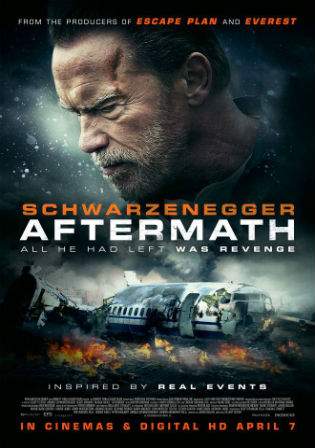 Aftermath 2017 BRRip 650MB English Movie 720p Xvid